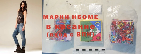 хмурый Аркадак