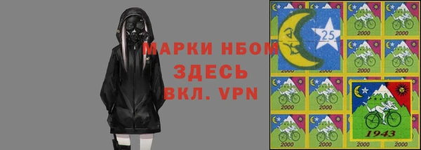 хмурый Аркадак