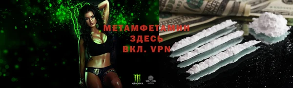 ПСИЛОЦИБИНОВЫЕ ГРИБЫ Арсеньев