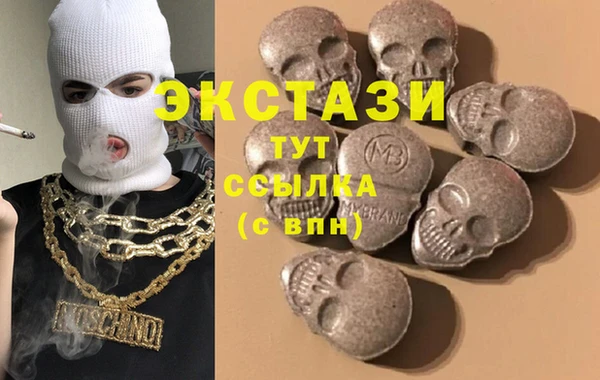 хмурый Аркадак