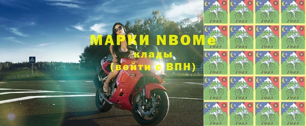 хмурый Аркадак