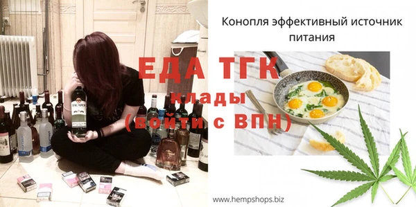 хмурый Аркадак