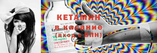 хмурый Аркадак