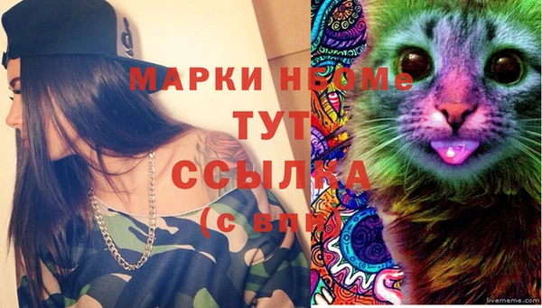 ПСИЛОЦИБИНОВЫЕ ГРИБЫ Арсеньев