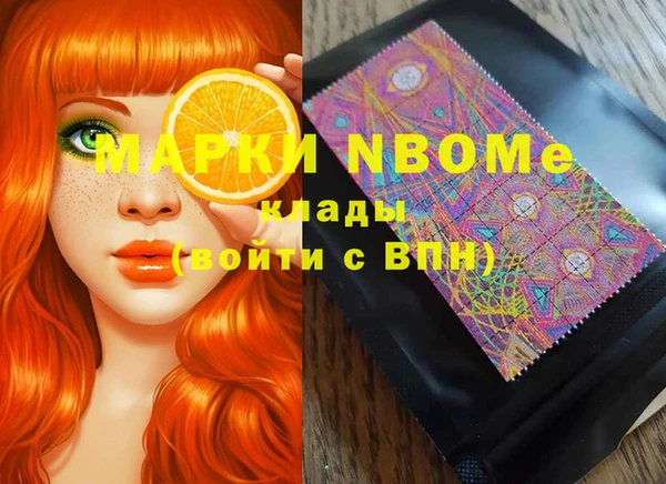 индика Ростов