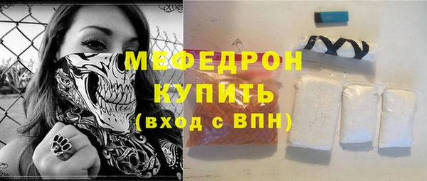 хмурый Аркадак