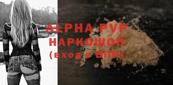 хмурый Аркадак