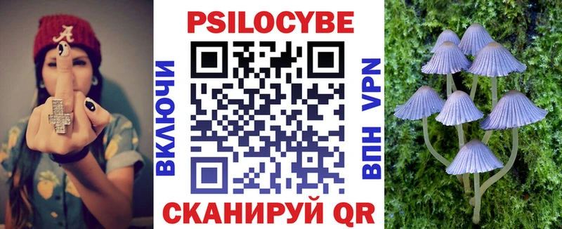 Псилоцибиновые грибы мицелий  где купить наркотик  mega   Строитель 