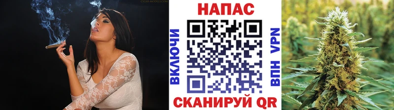 KRAKEN tor  Строитель  Канабис гибрид 